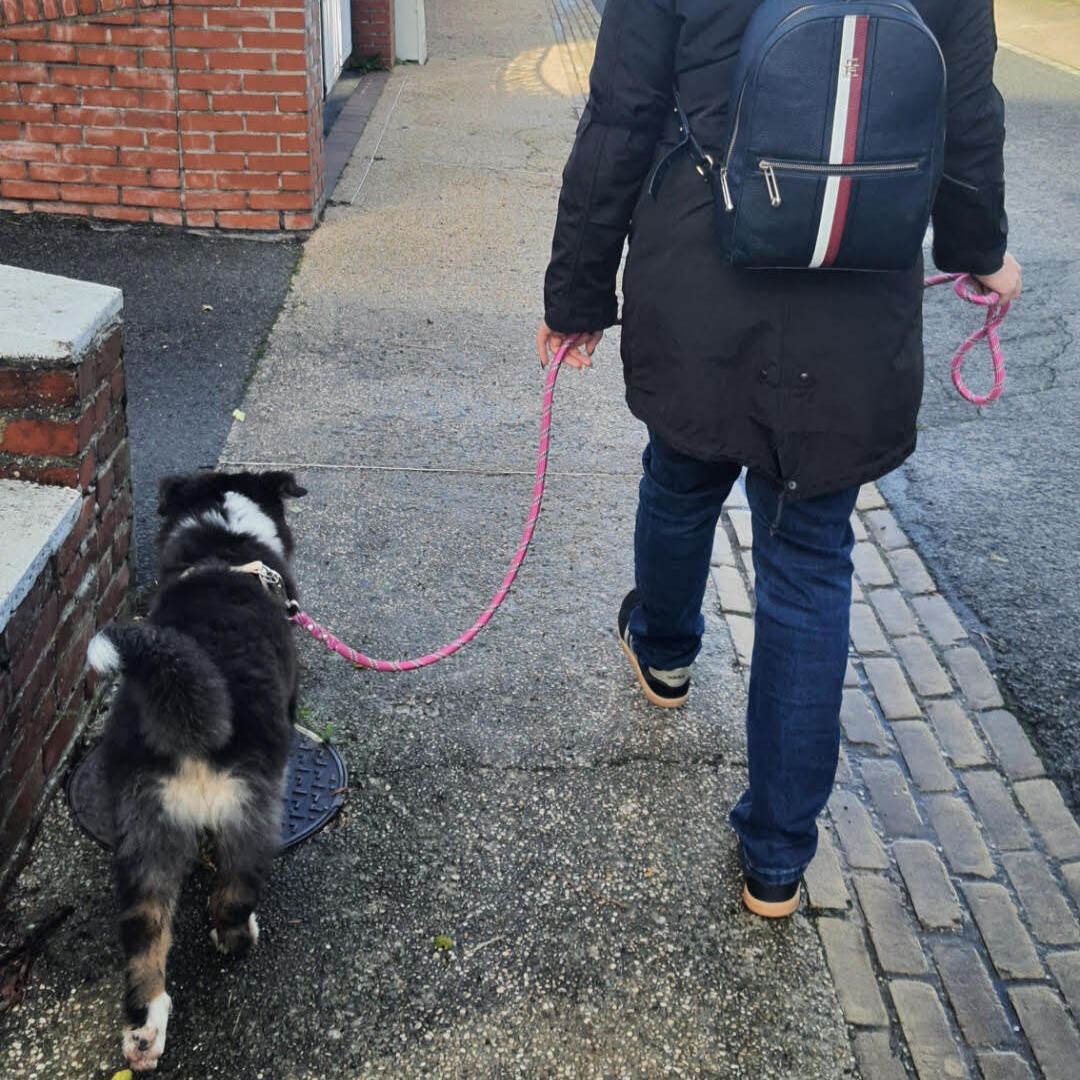 unnamedm Chiot blanc qui joue