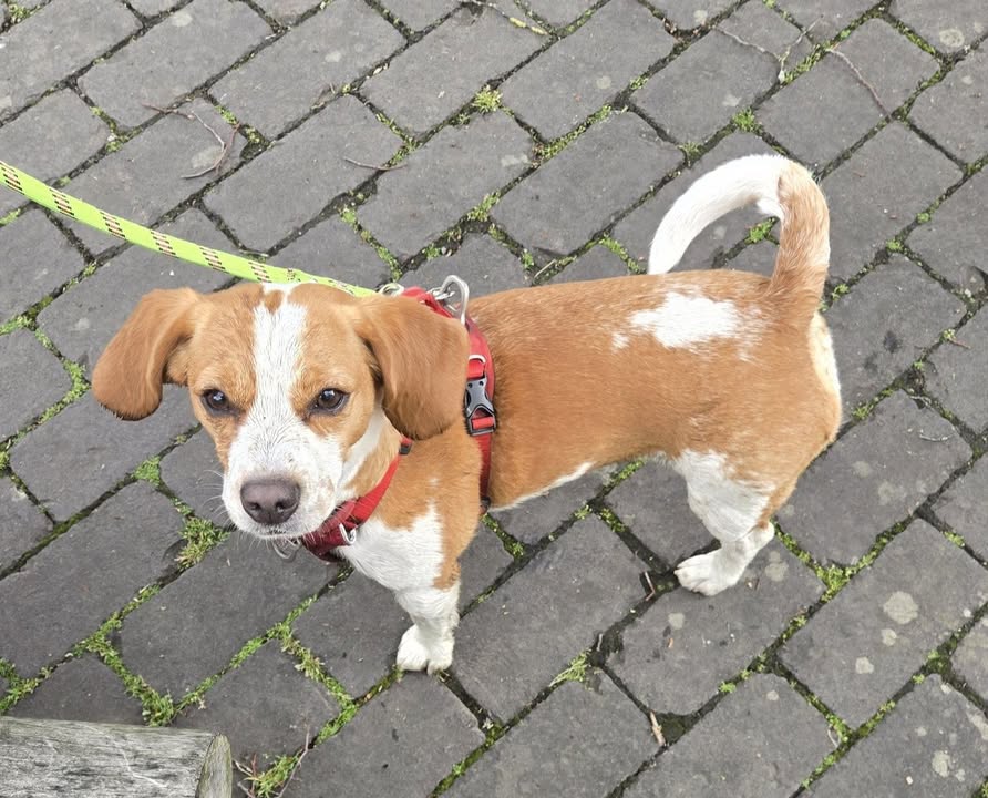 CANID'éduc