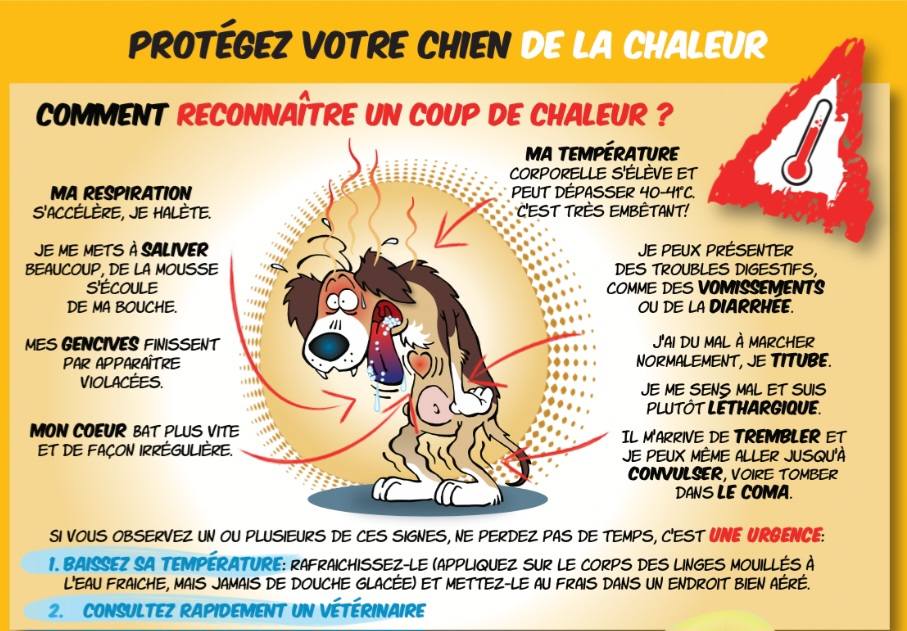 CANID'éduc