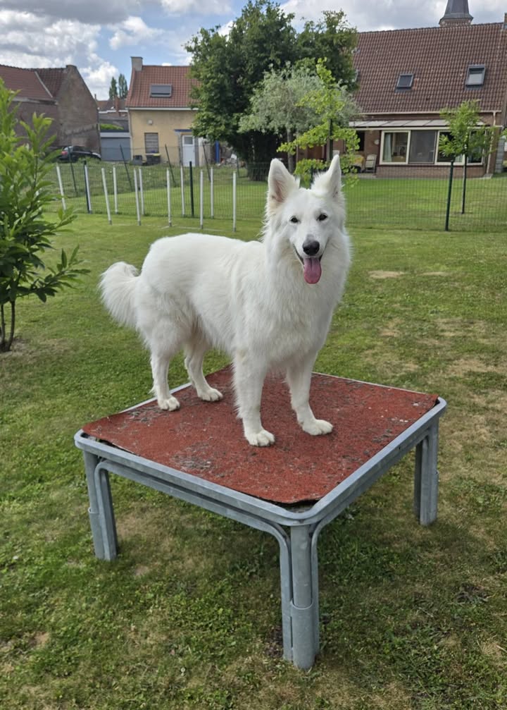 CANID'éduc