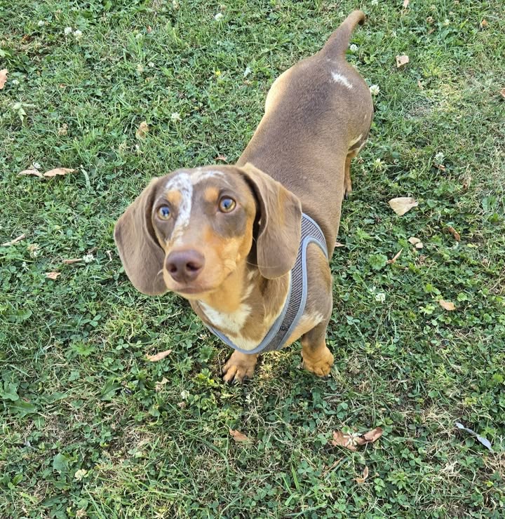 CANID'éduc