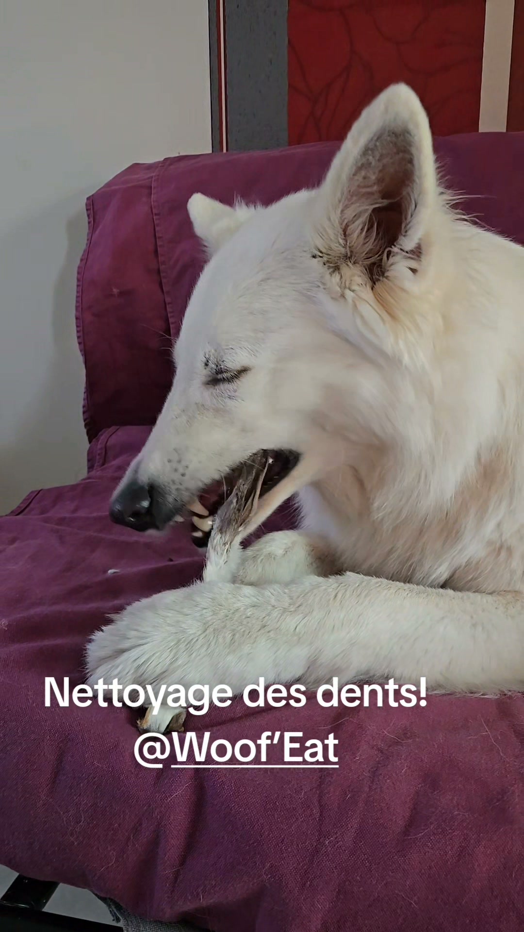 CANID'éduc